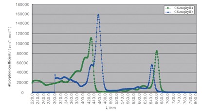 espectros de absorção