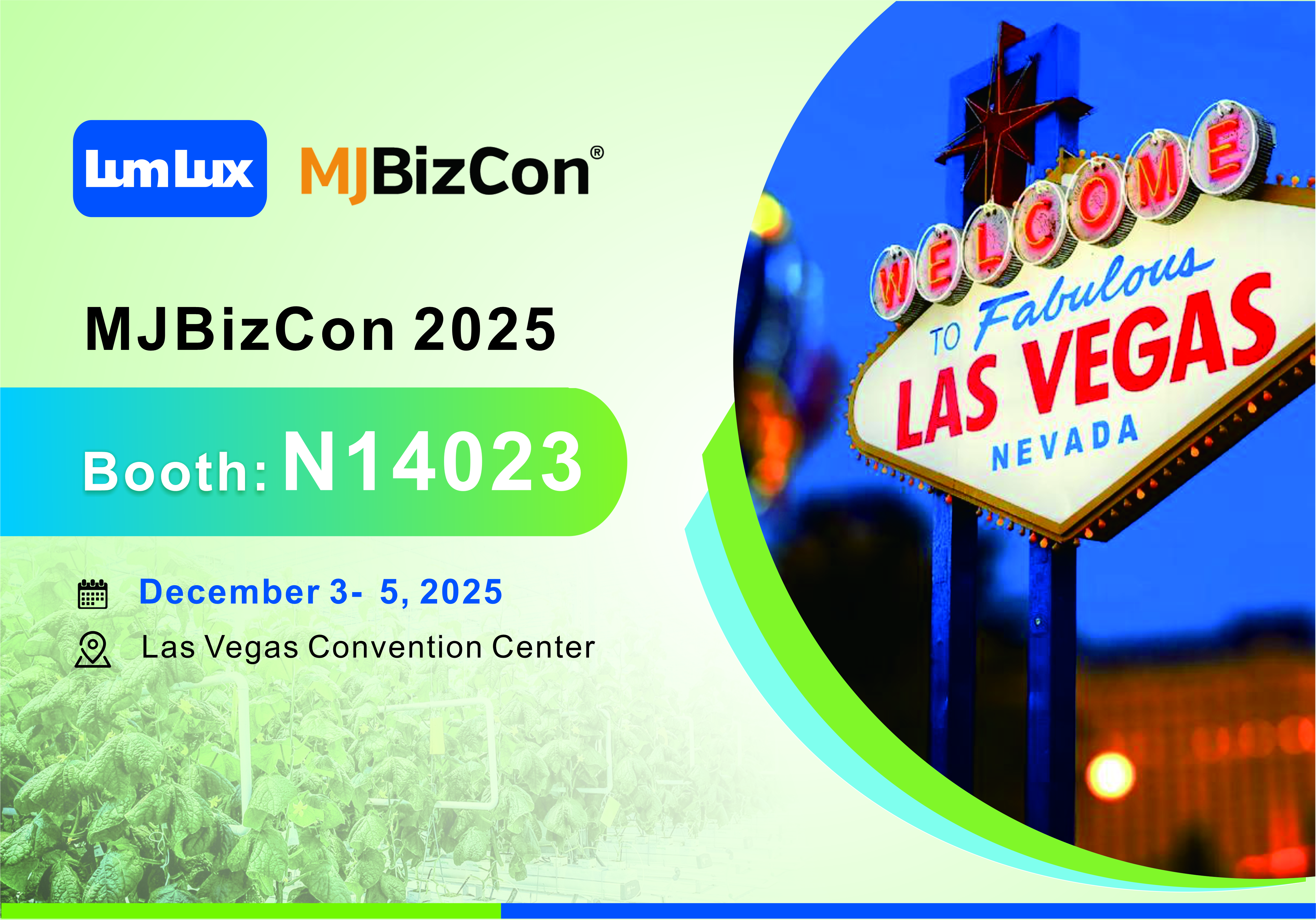 美国邀请函11.15